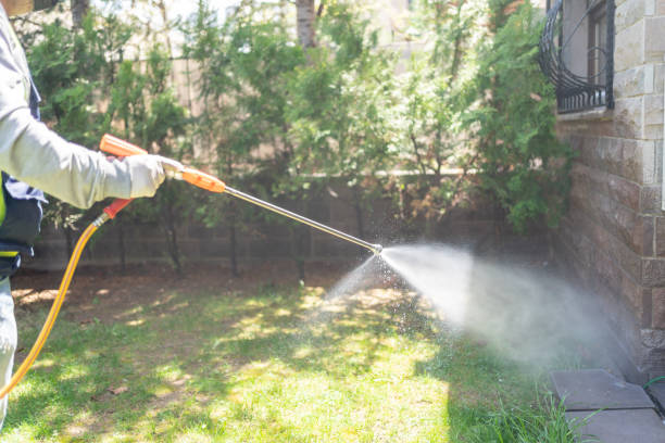 Best Pest Prevention Services  in , WY