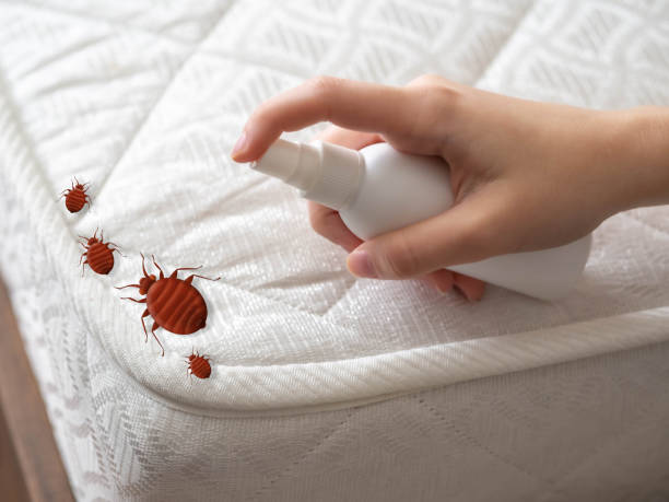 Best Pest Inspection Near Me  in , WY