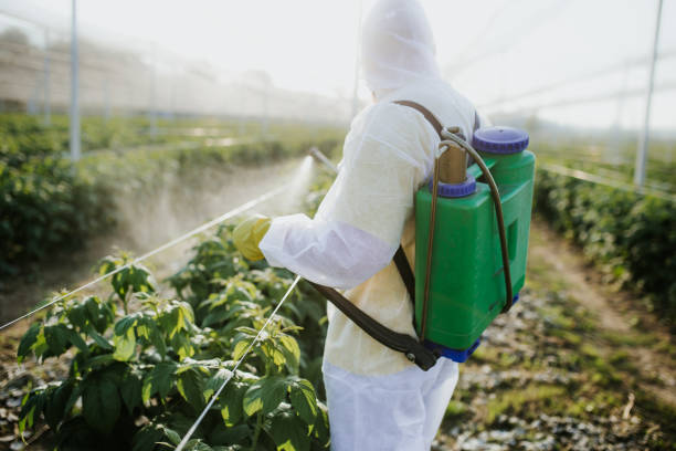 Best Pest Control for Homes  in , WY
